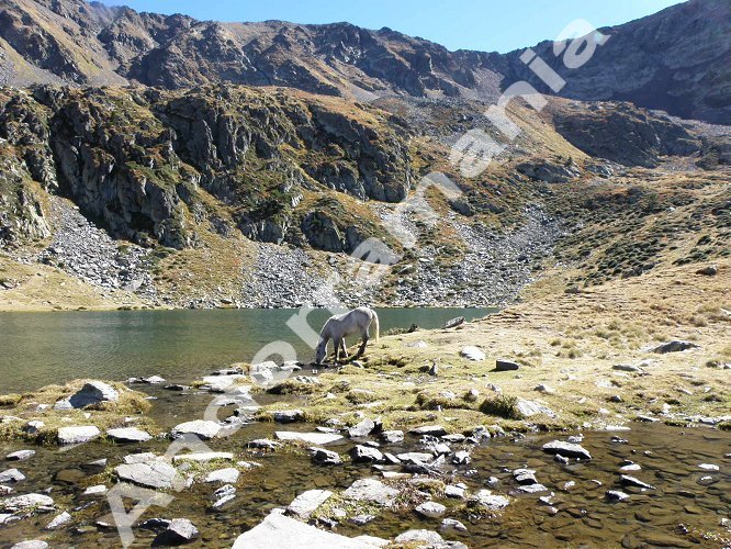 L'&eacute;tang de l'Estany&oacute;