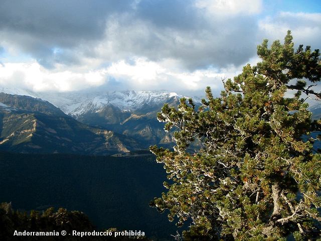 Pic de Carroi Andorra - Andorre