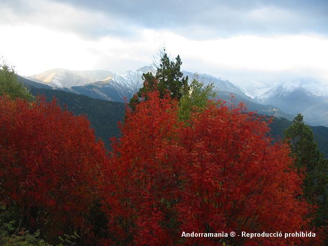 Pic de Carroi Andorra - Andorre