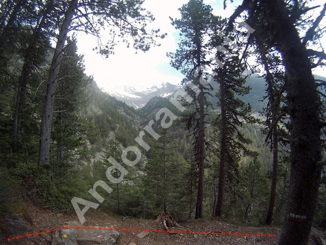 Pic de Comapedrosa Andorra - Andorre - Passerelle au dessus du torrent