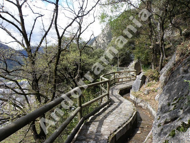 Vista t&iacute;pica del camino del Rec del Sol&agrave;, con el peque&ntilde;o canal de riego a la derecha.